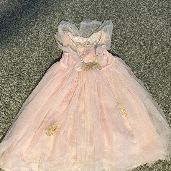 tj maxx princess dress